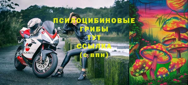 ALPHA-PVP Горнозаводск