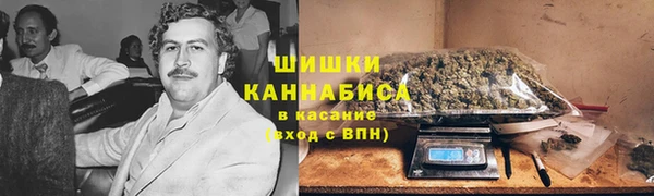 эйфоретик Горняк