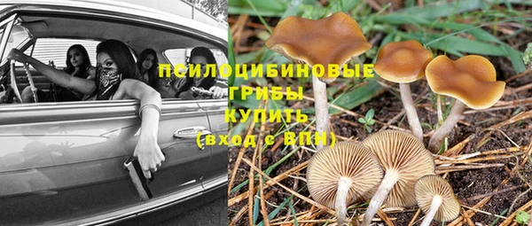 стафф Вяземский