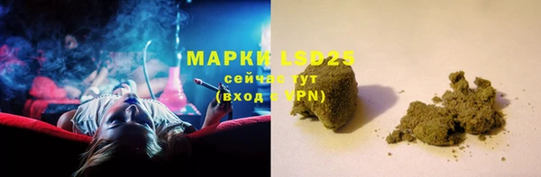 крисы Вязьма
