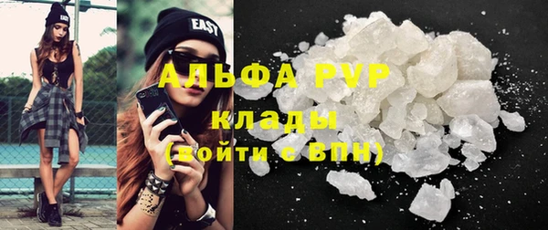 стафф Вяземский