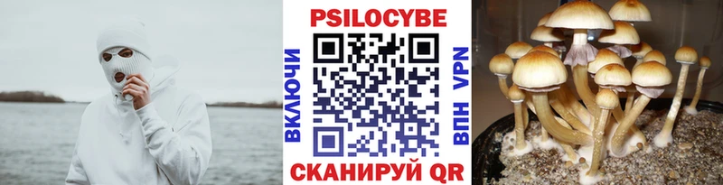 продажа наркотиков  Дмитров  Псилоцибиновые грибы ЛСД 
